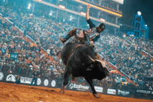 Rodeo Chronicles: Thrills