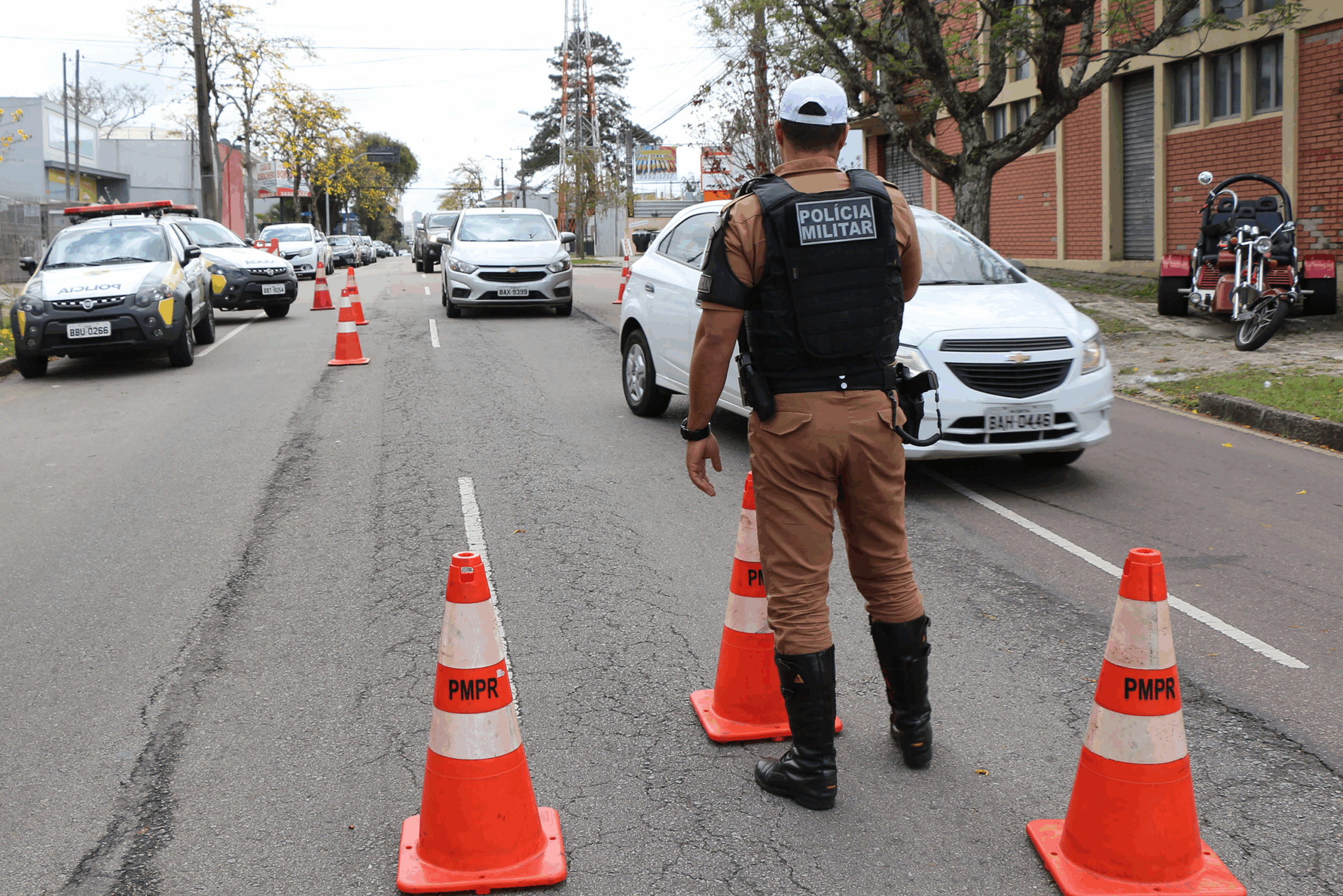 Drive Confident: Check License Status