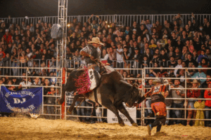 Rodeo Revelry: Tradition and Thrills