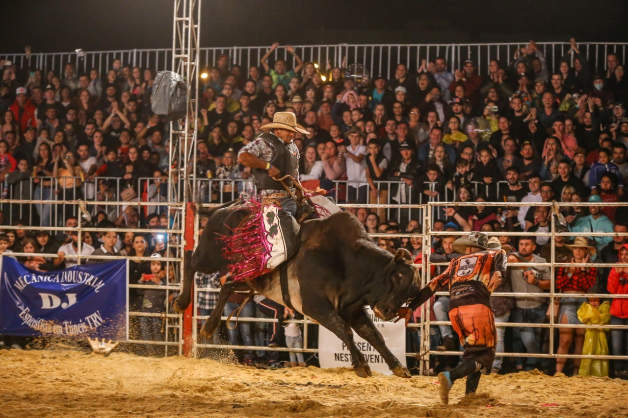 Rodeo Revelry: Tradition and Thrills