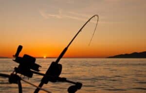 Master the Seas with Fisherman's Friend