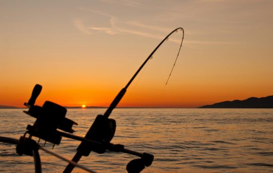 Master the Seas with Fisherman's Friend