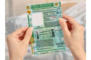 Obtaining a Free Driver's License in Brazil