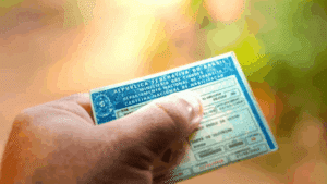 Obtaining a Free Driver's License in Brazil