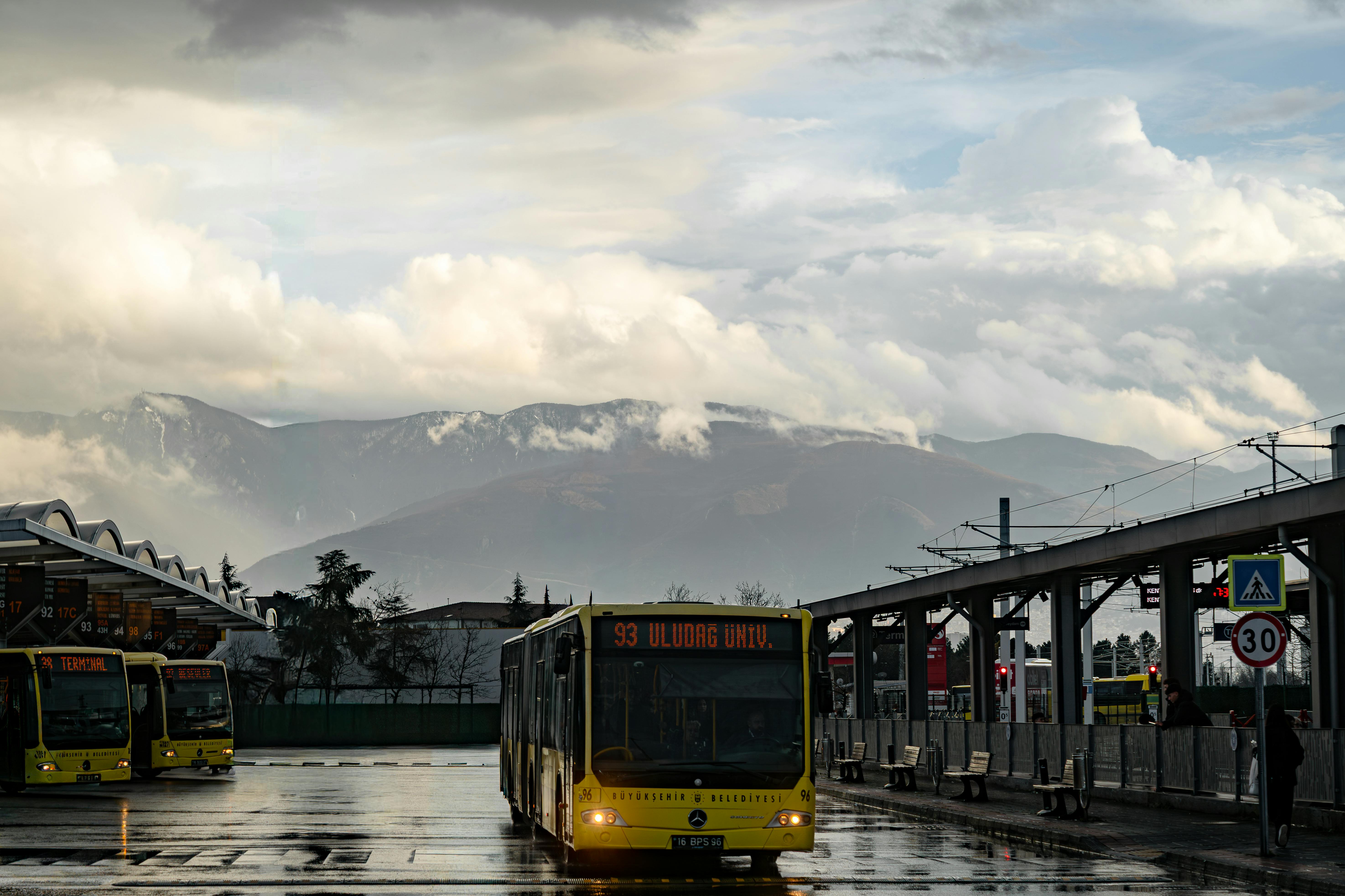 Real-Time Bus Tracking and Route Planning