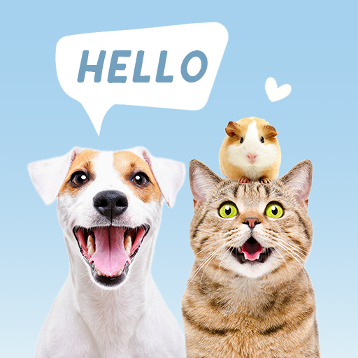 Understanding Dog and Cat Communication: Vocal and Body Language